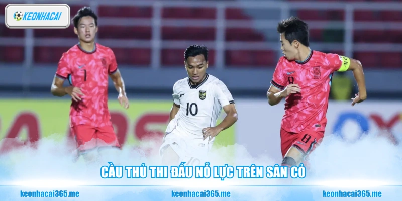 Kết Quả Vòng Chung Kết U23 Châu Á - Tin Tức Nóng Hổi 2 Cầu thủ thi đấu nỗ lực trên sân cỏ