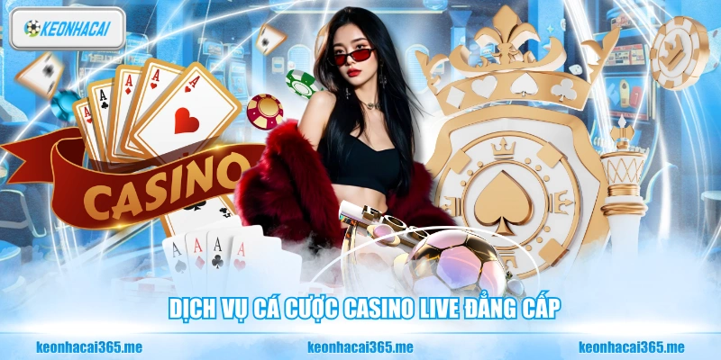 Dịch vụ cá cược casino live đẳng cấp