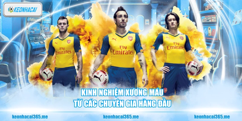 Kinh nghiệm chuyên sâu từ các chuyên gia đầu ngành