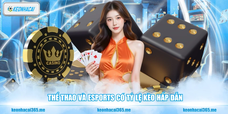  Thể thao và eSports có tỷ lệ kèo hấp dẫn