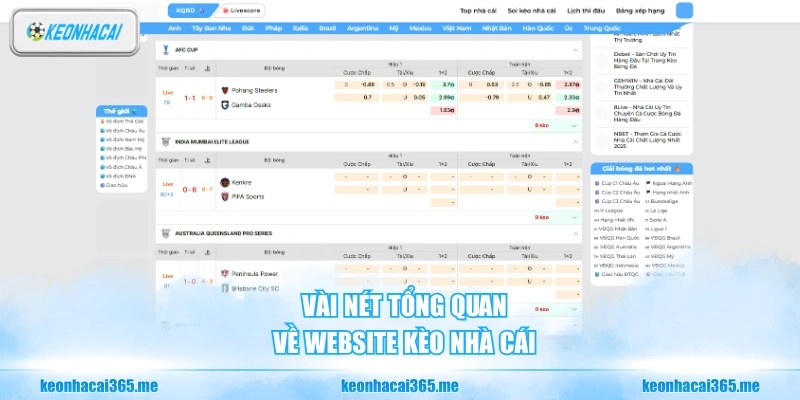 Vài nét tổng quan về website Kèo Nhà Cái